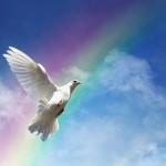 Grace (dove) 27251776_s