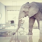 Elephant, 16548871_s